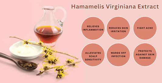 Benefit of Hamamelis Virginia Extract - Ani Natural 🇲🇾