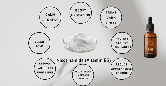 Benefit of Nicotinamide - Ani Natural 🇲🇾