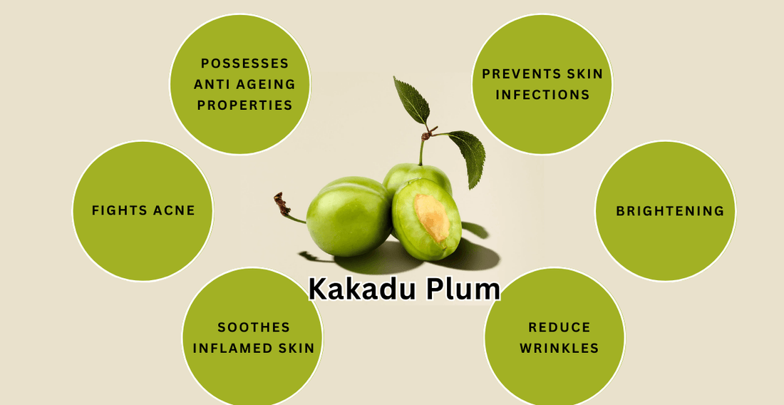 Benefit of Terminalia Ferdinandiana Fruit Extract (Kakadu Plum) - Ani Natural 🇲🇾