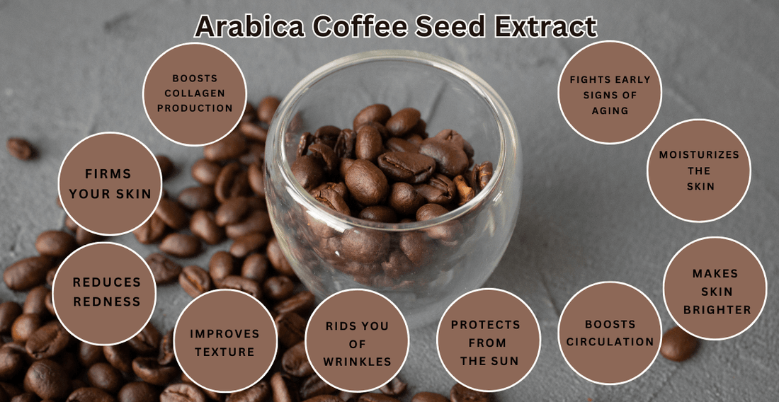 Benefit of Arabica Coffee Seed Extract - Ani Natural 🇲🇾