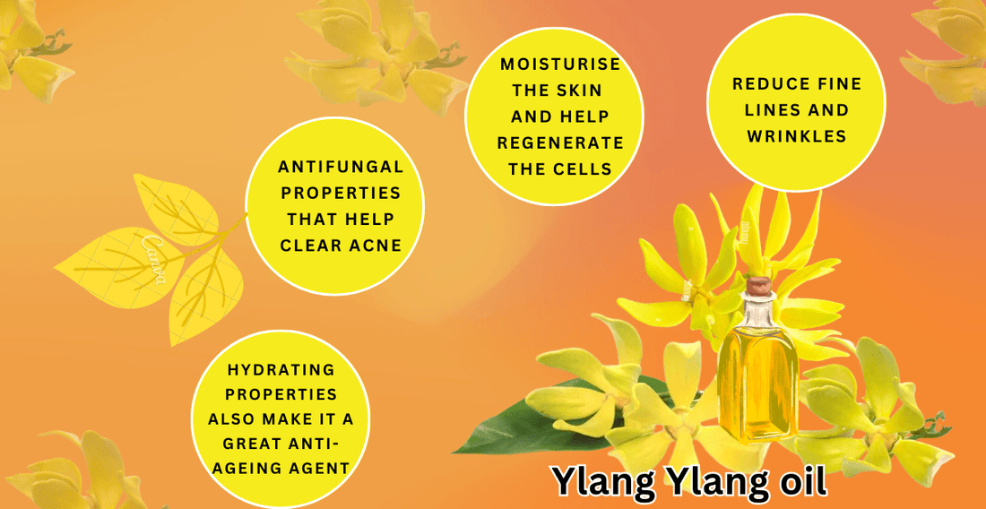 Benefit of Ylang Ylang Oil - Ani Natural 🇲🇾